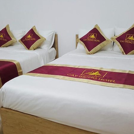 Khach San Cay Thong Hotel Tam Ðảo Exterior foto